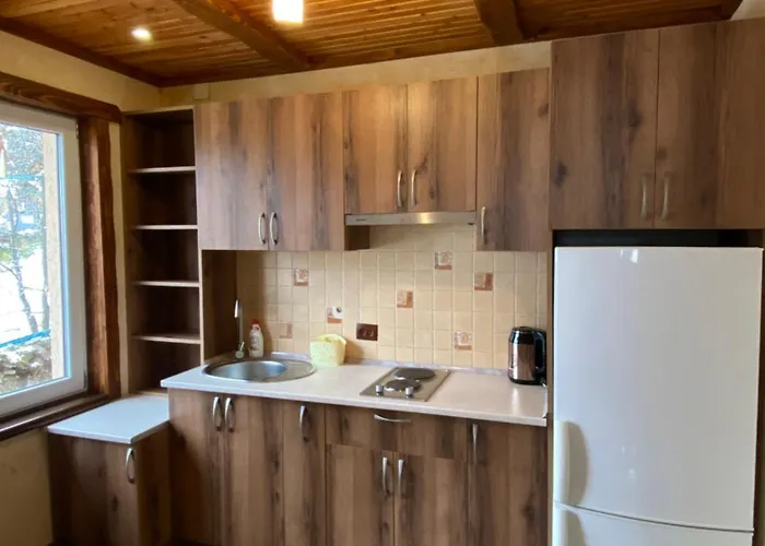 лучка Tatil Evi Mykulychyn